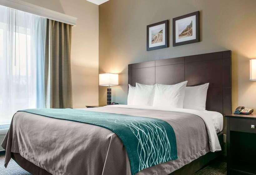 בית מלון כפרי Comfort Inn & Suites Porter Near Indiana Dunes