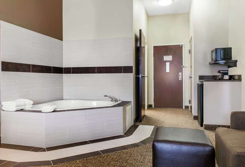 בית מלון כפרי Comfort Inn & Suites Porter Near Indiana Dunes