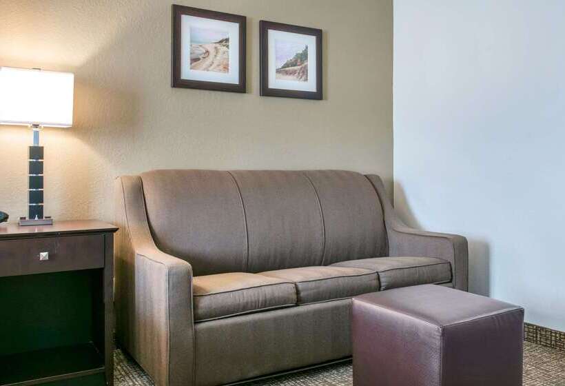 בית מלון כפרי Comfort Inn & Suites Porter Near Indiana Dunes