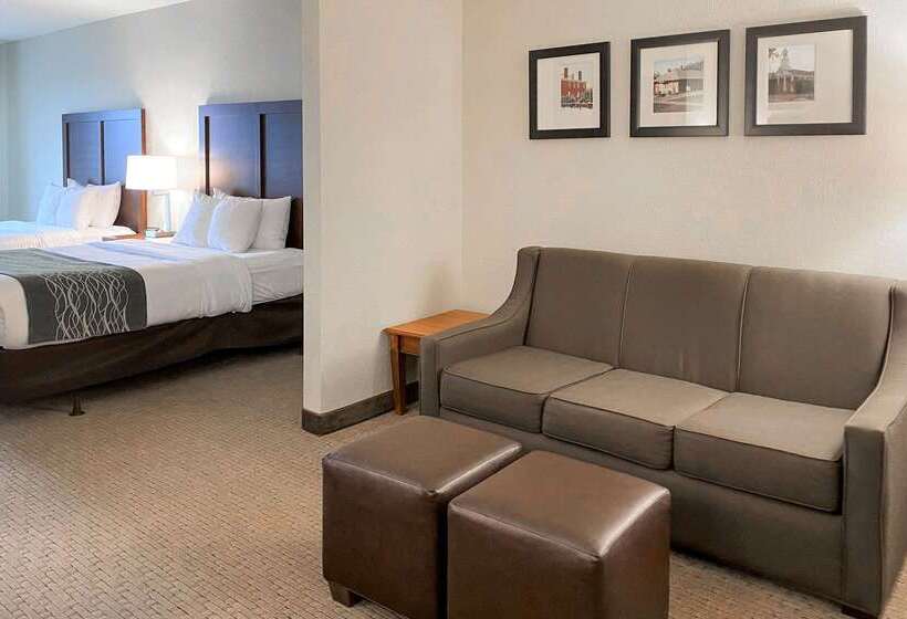 فندق Comfort Inn & Suites