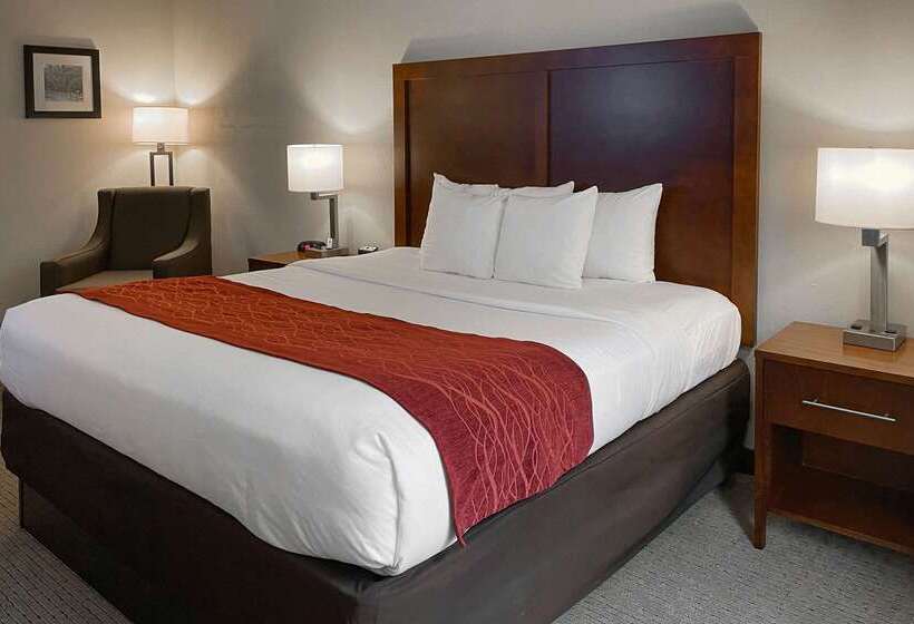 فندق Comfort Inn & Suites