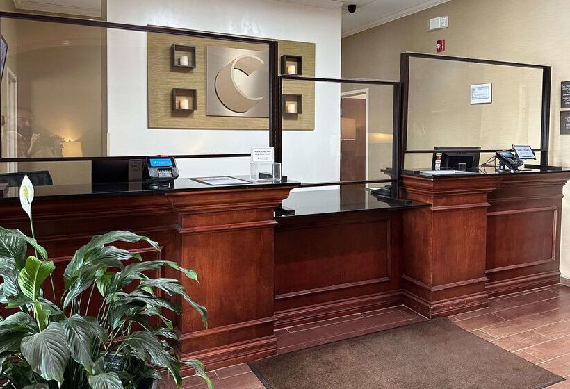 فندق Comfort Inn & Suites