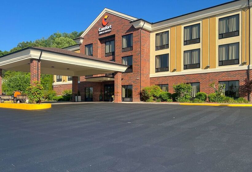 فندق Comfort Inn & Suites