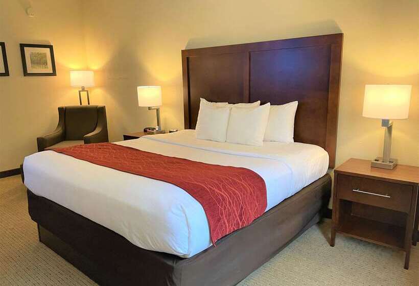 فندق Comfort Inn & Suites