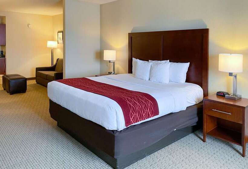 فندق Comfort Inn & Suites