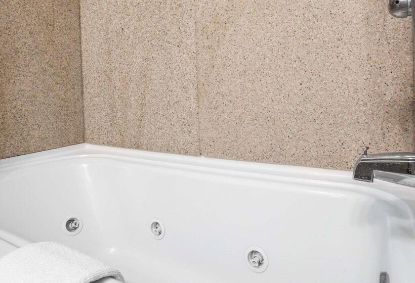 فندق Comfort Inn & Suites