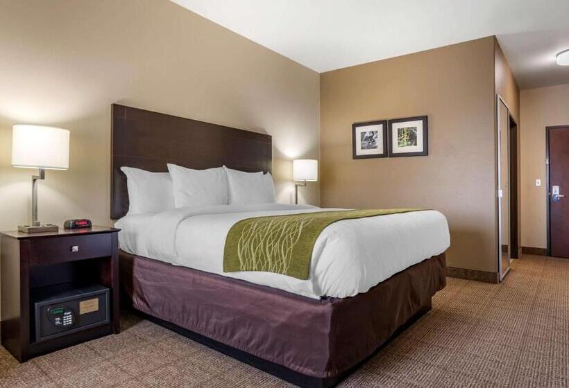 هتل Comfort Inn & Suites Scott West Lafayette