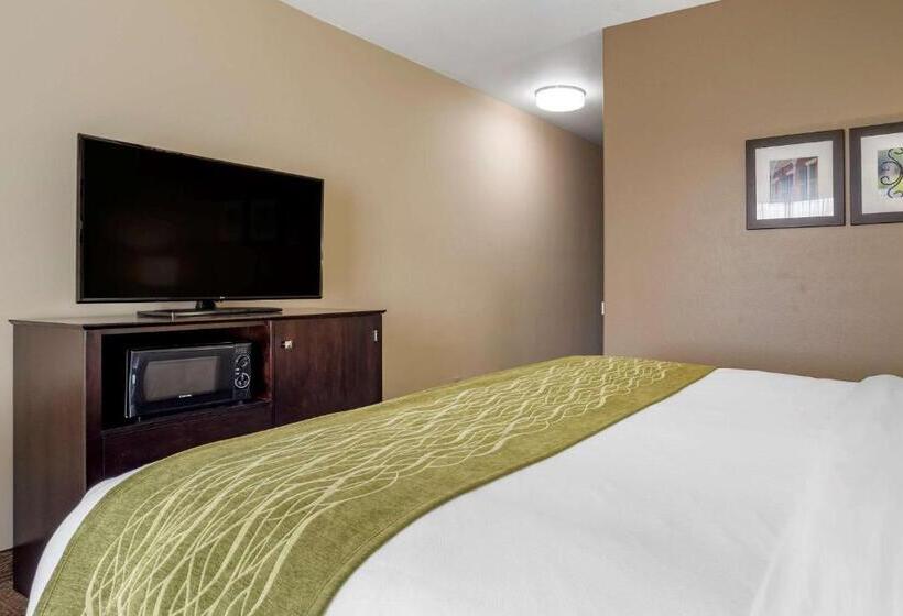 هتل Comfort Inn & Suites Scott West Lafayette