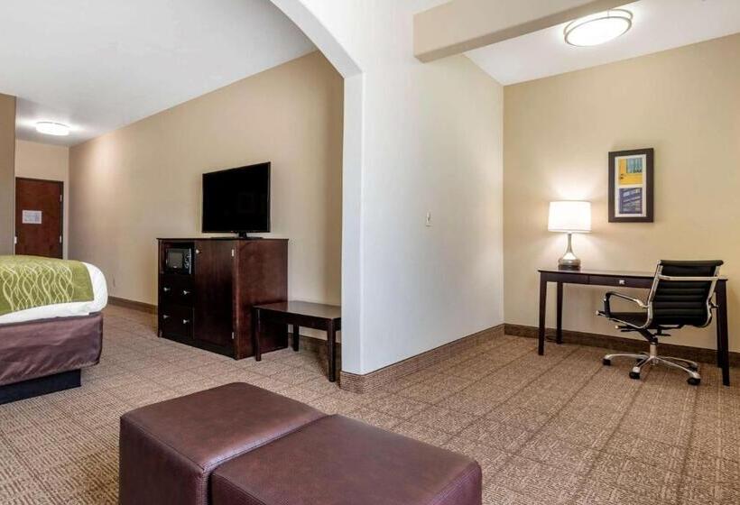 هتل Comfort Inn & Suites Scott West Lafayette