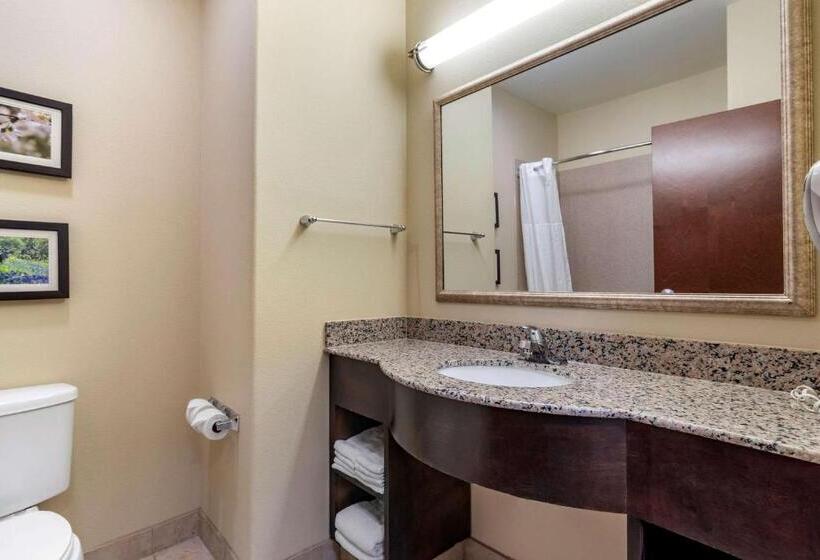 هتل Comfort Inn & Suites Scott West Lafayette