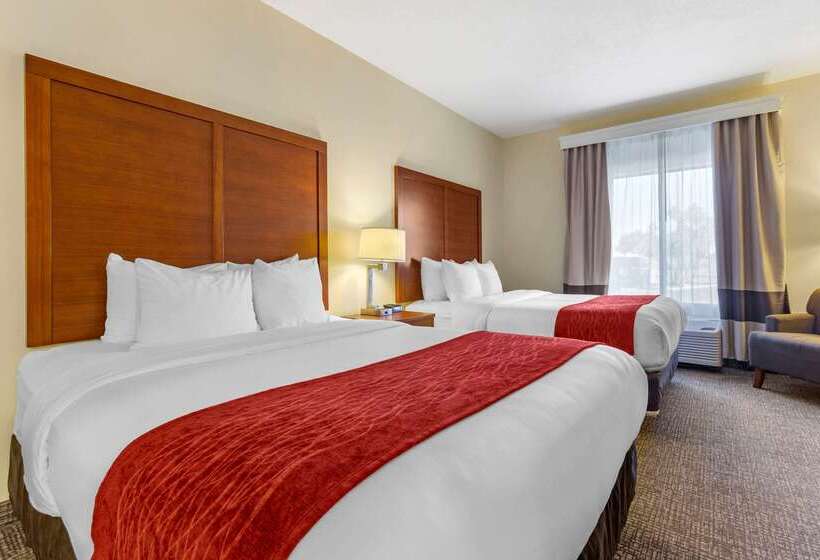 فندق Comfort Inn & Suites