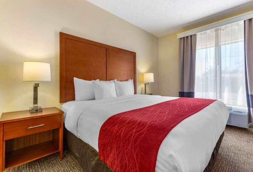 فندق Comfort Inn & Suites