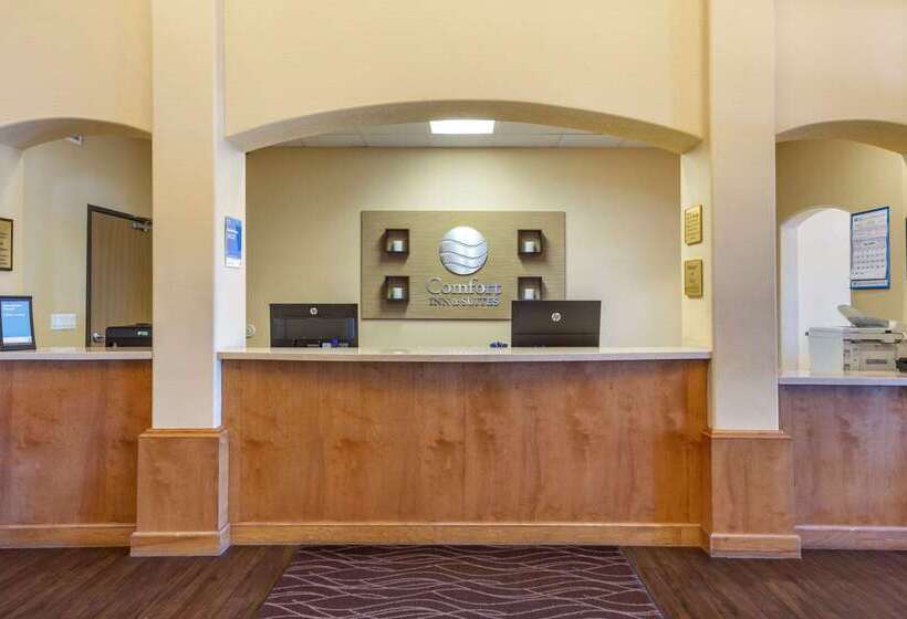فندق Comfort Inn & Suites