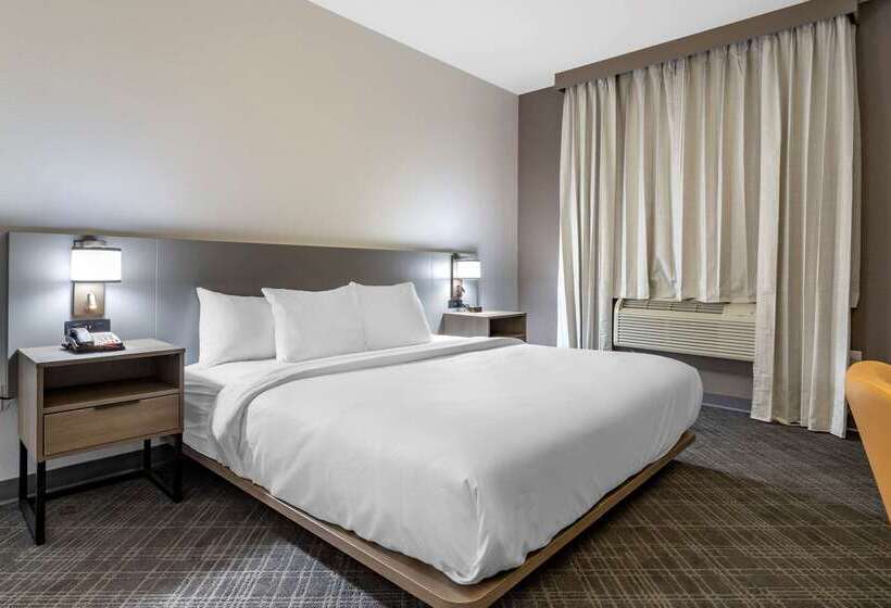 בית מלון כפרי Comfort Suites Natchitoches