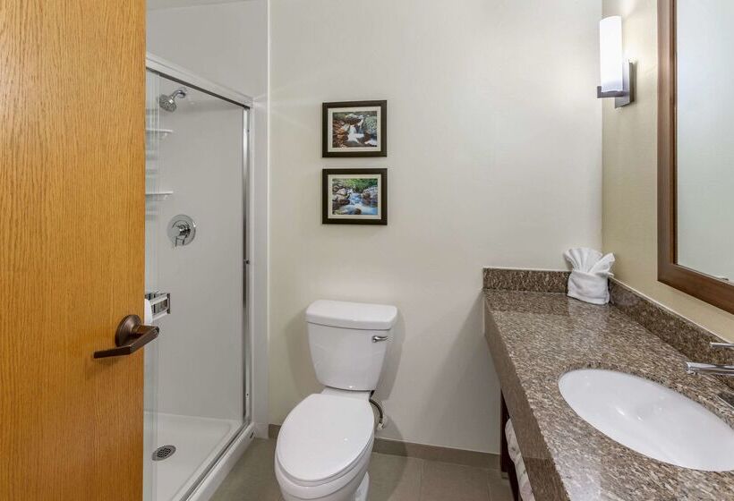 Отель Comfort Suites Ogden Conference Center