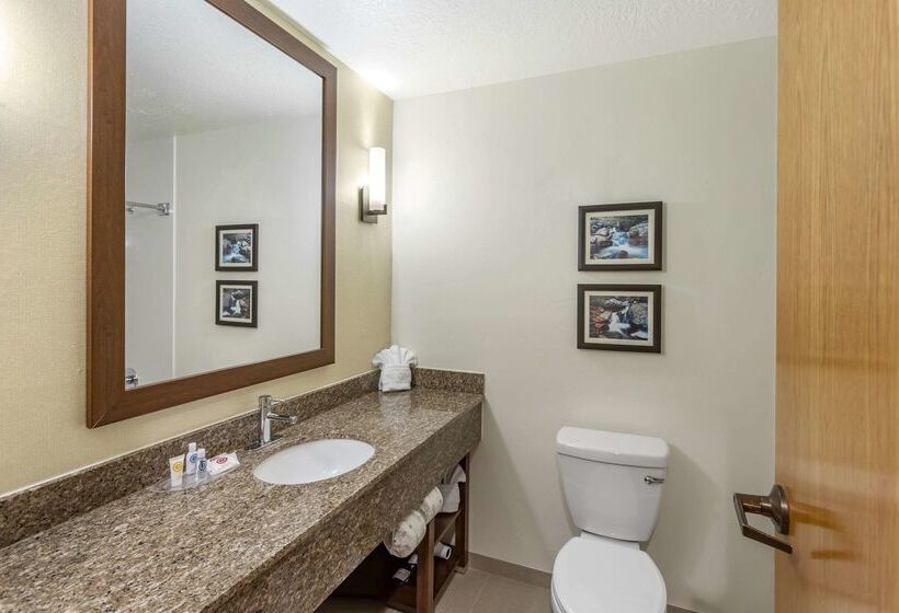 Отель Comfort Suites Ogden Conference Center