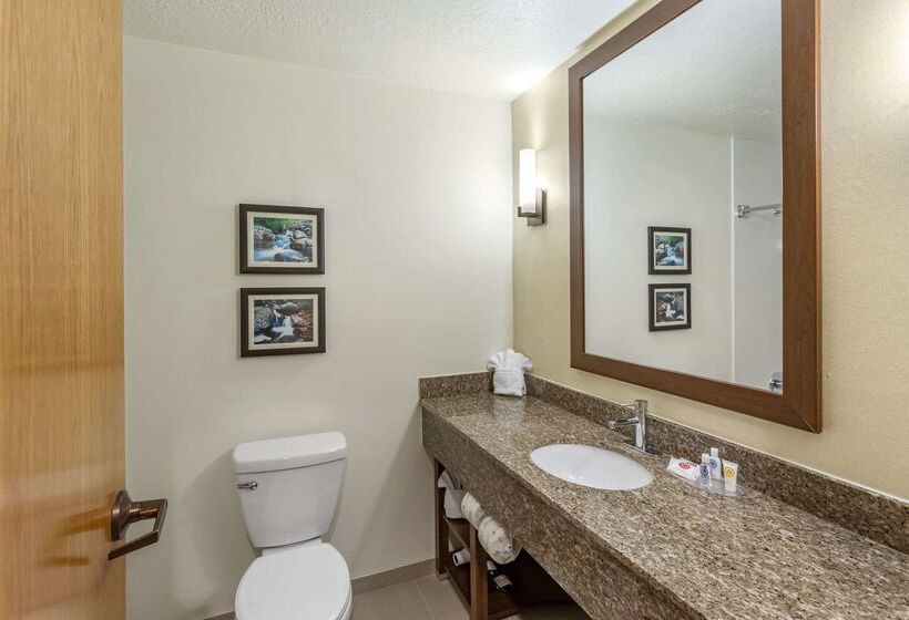 Отель Comfort Suites Ogden Conference Center
