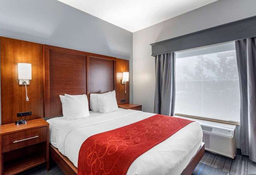 فندق Comfort Suites Olive Branch   Memphis South