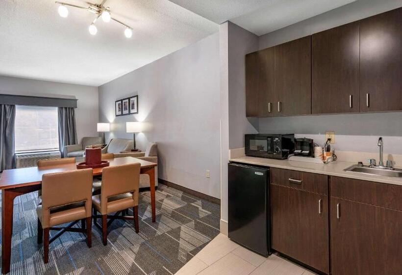 فندق Comfort Suites Olive Branch   Memphis South