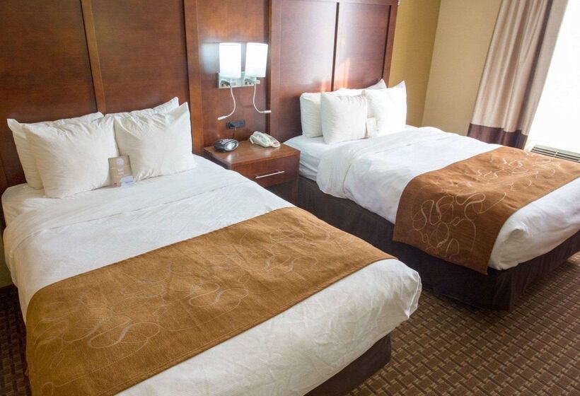酒店 Comfort Suites Port Allen  Baton Rouge