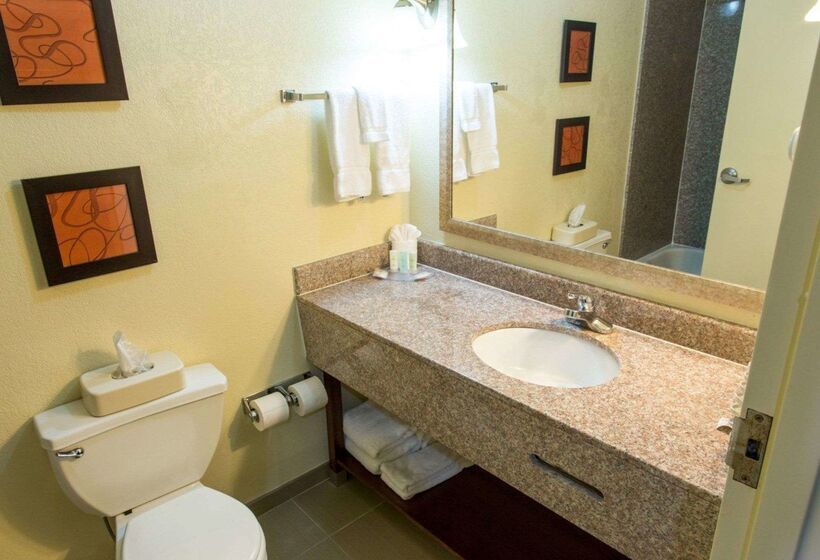 בית מלון כפרי Comfort Suites Port Allen  Baton Rouge