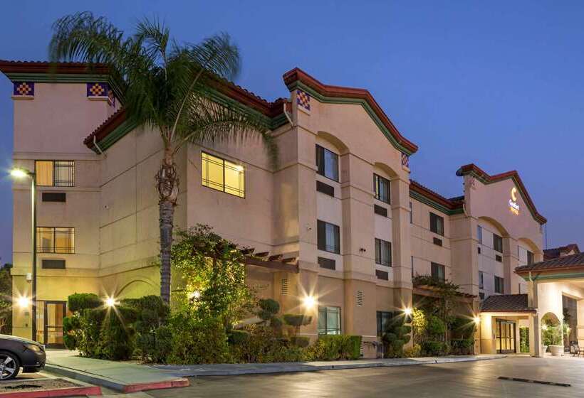 فندق Comfort Suites