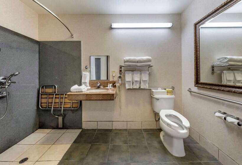 فندق Comfort Suites