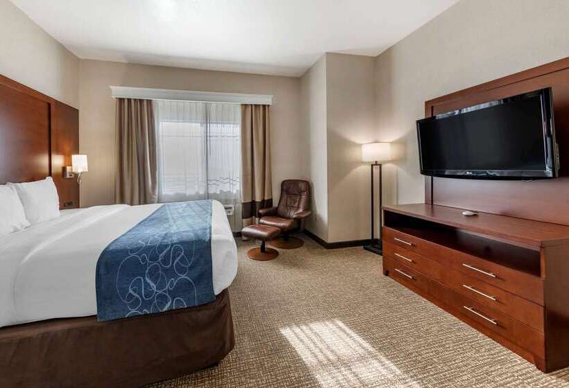 فندق Comfort Suites