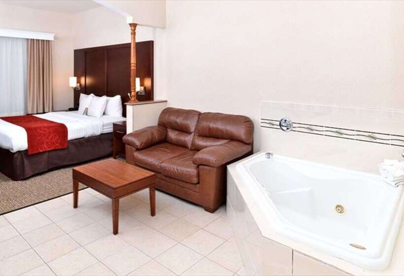 فندق Comfort Suites