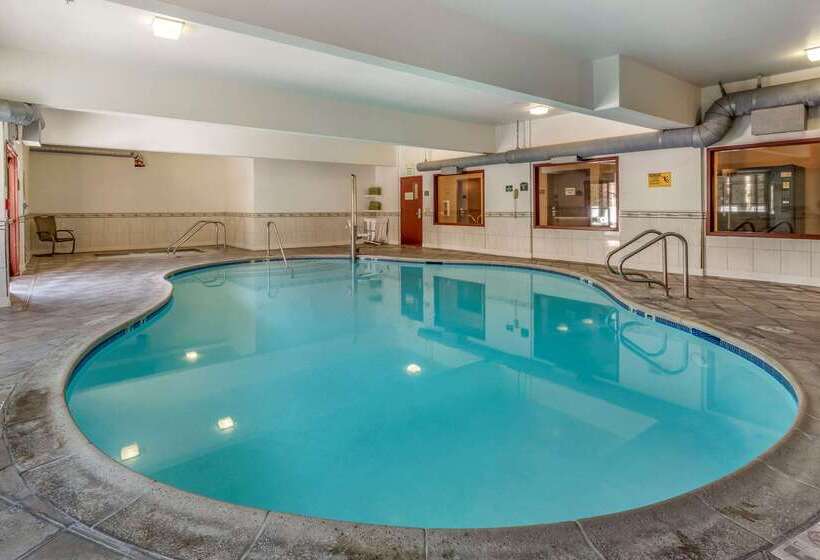 فندق Comfort Suites