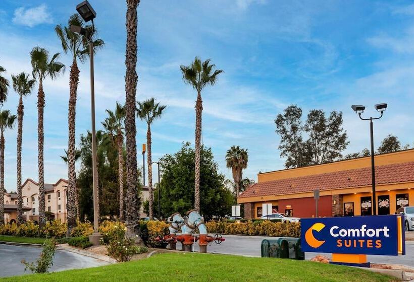 فندق Comfort Suites