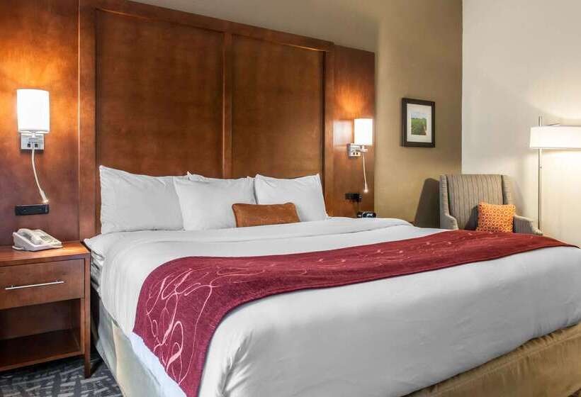 فندق Comfort Suites