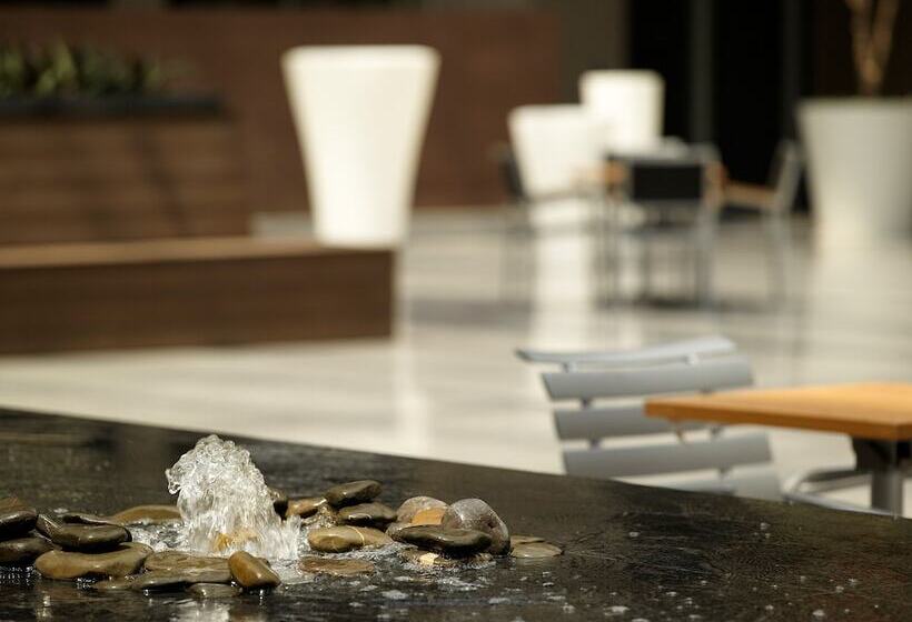 هتل Courtyard By Marriott Mexico City Airport