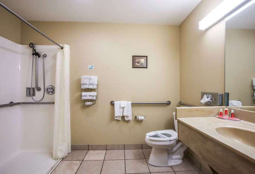 فندق Econo Lodge  Inn & Suites