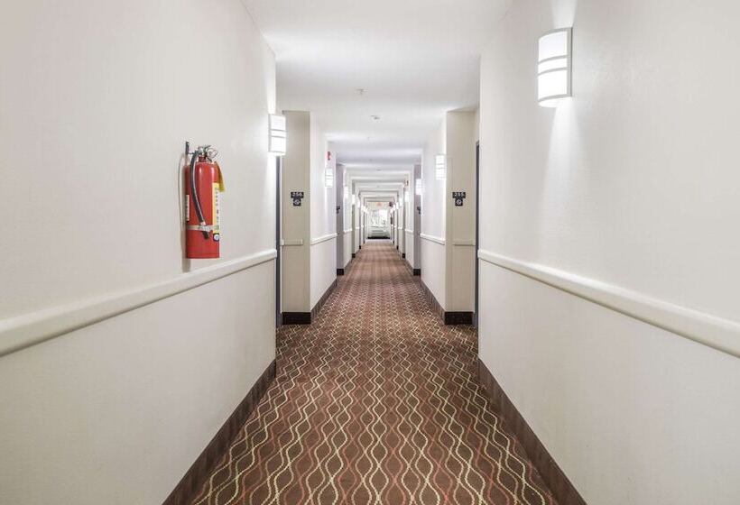 فندق Econo Lodge Morristown