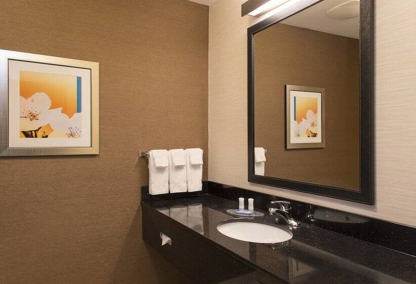 酒店 Fairfield Inn And Suites By Marriott Chicago St. Charles