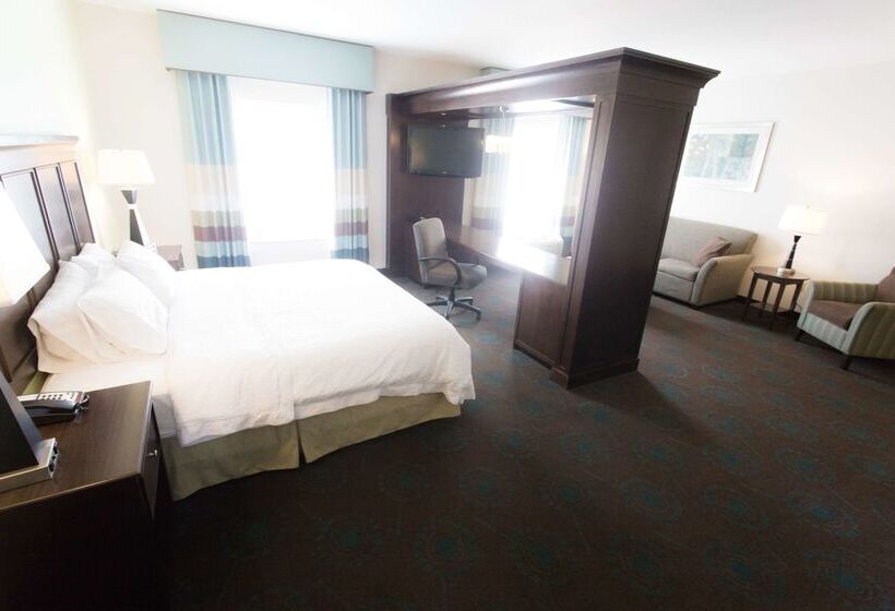فندق Hampton Inn & Suites Middlebury