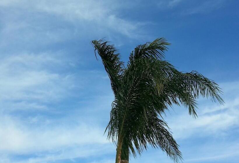 호텔 La Copa Inn Alamo