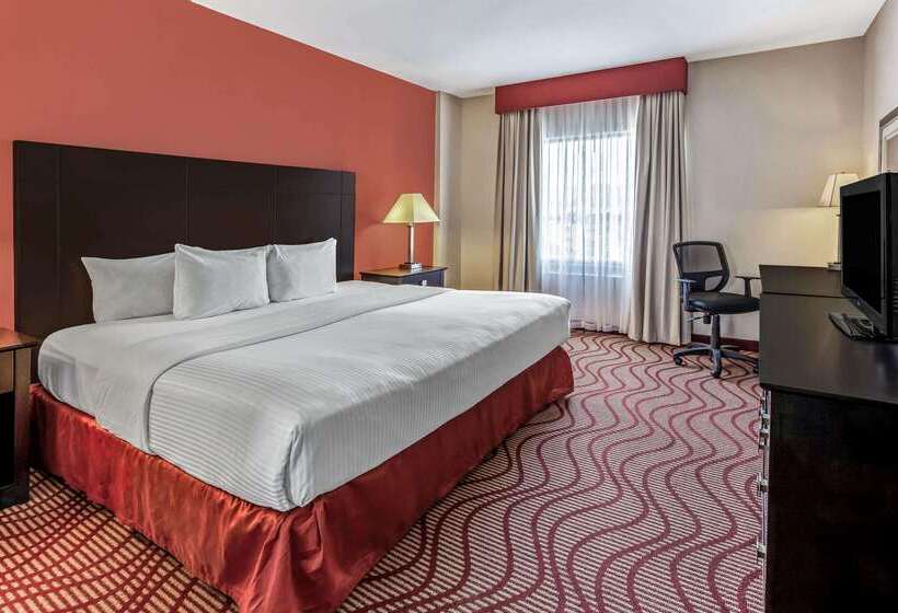 فندق La Quinta By Wyndham San Luis Potosi