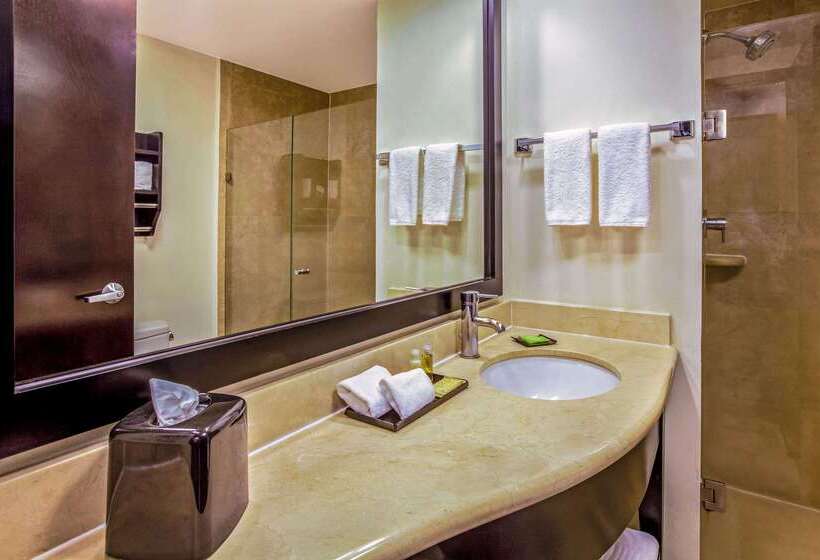 فندق La Quinta By Wyndham San Luis Potosi