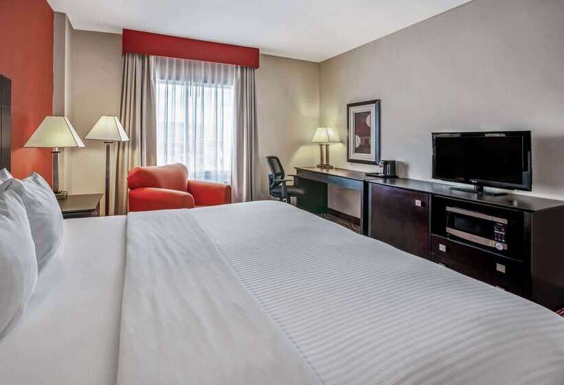 فندق La Quinta By Wyndham San Luis Potosi