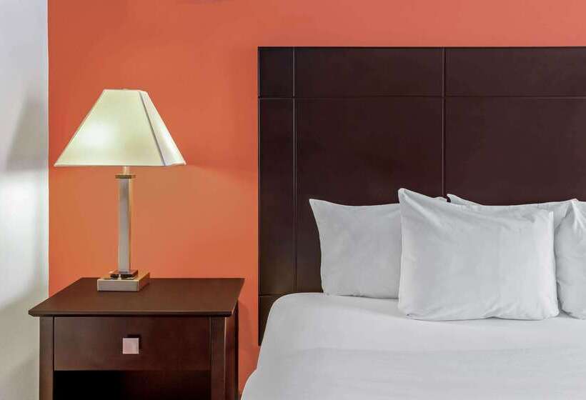 فندق La Quinta By Wyndham San Luis Potosi