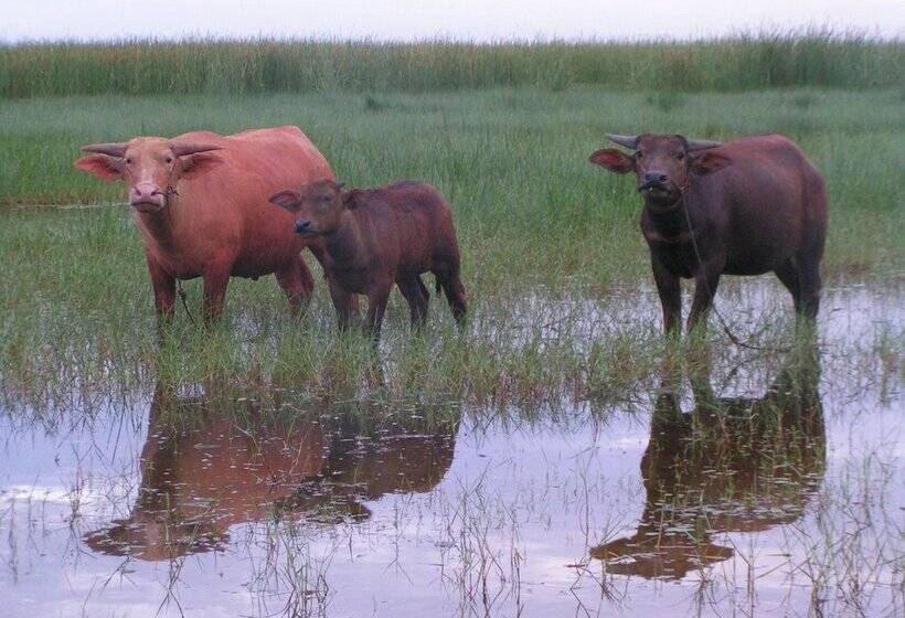בית מלון כפרי Long Beach Inn
