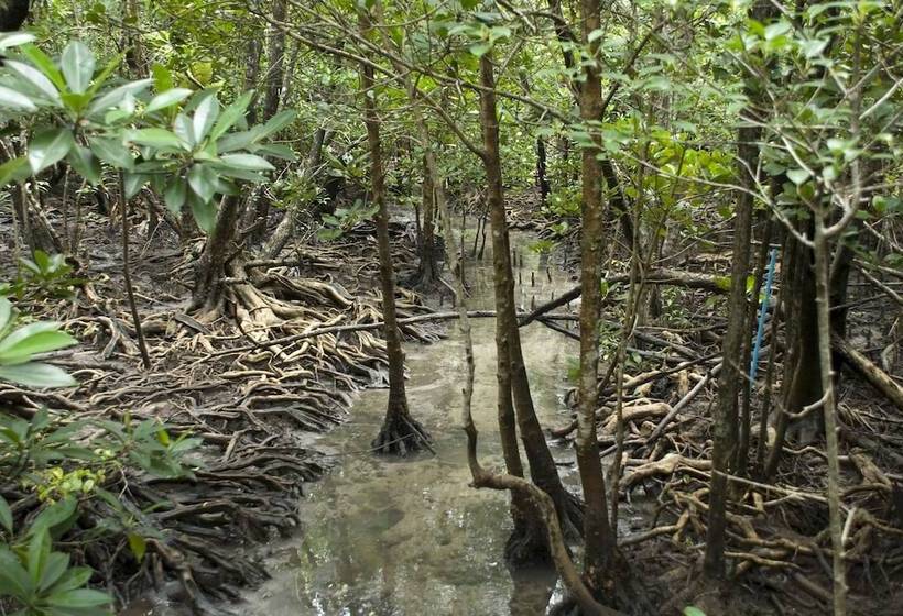 호텔 Long Beach Inn