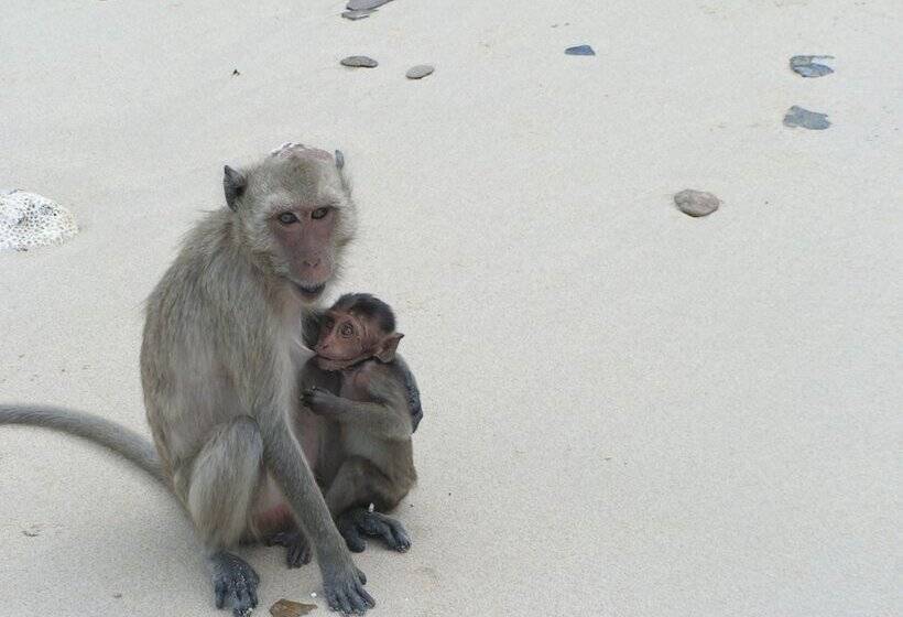 호텔 Long Beach Inn