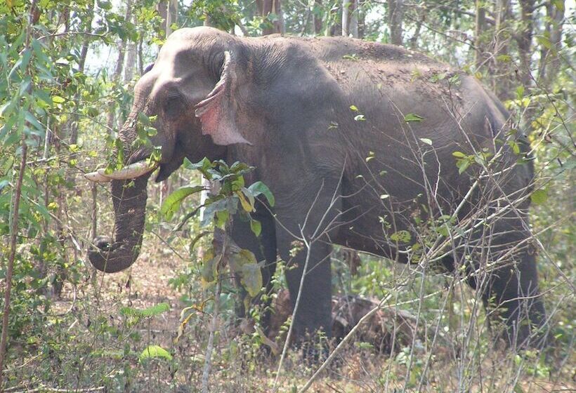 호텔 Long Beach Inn