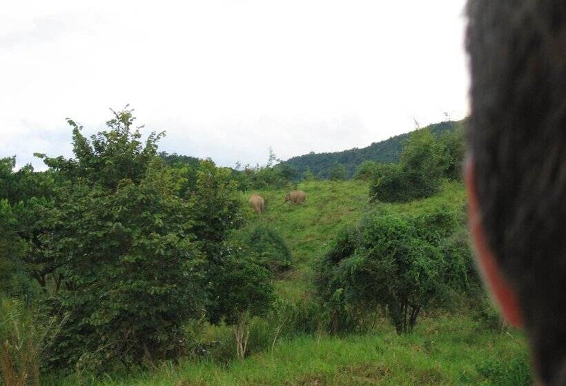 호텔 Long Beach Inn