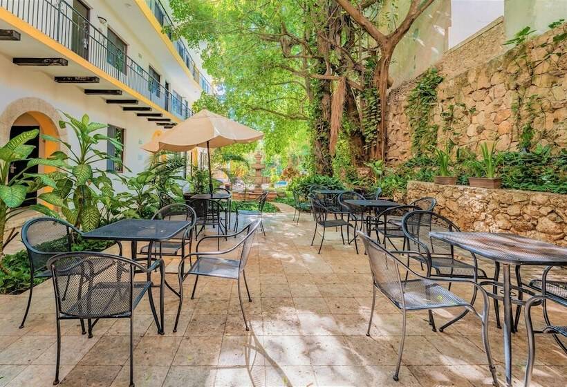 בית מלון כפרי Maison Del Embajador