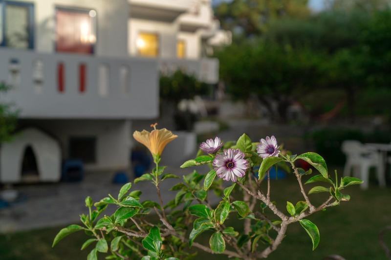 Отель Plakias Bay