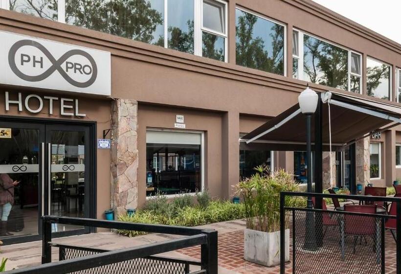 בית מלון כפרי Pro